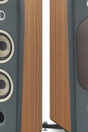 Focal Kanta n. 2 Subito Disponibile