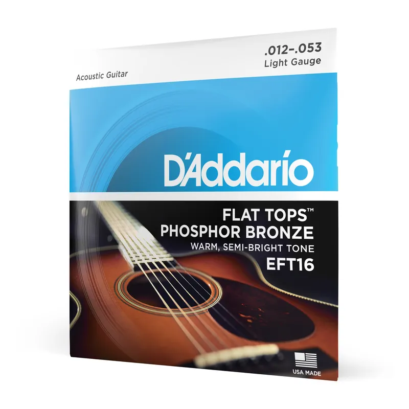 Corde D’Addario EFT16 Flat Tops in bronzo fosforoso per chitarra acustica, Light, 12-53 – D’Addario Non Perdere